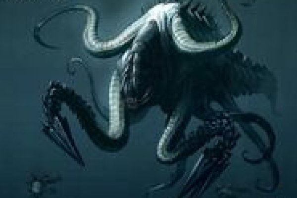 Kraken 19at