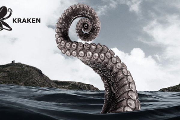 Kraken 24 top