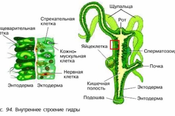 Кракен онион ссылка на тор