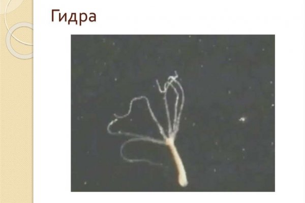 Кракен вход ссылка