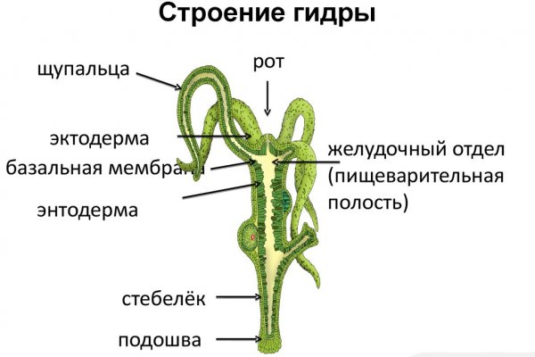 Кракен сайт kr2web in