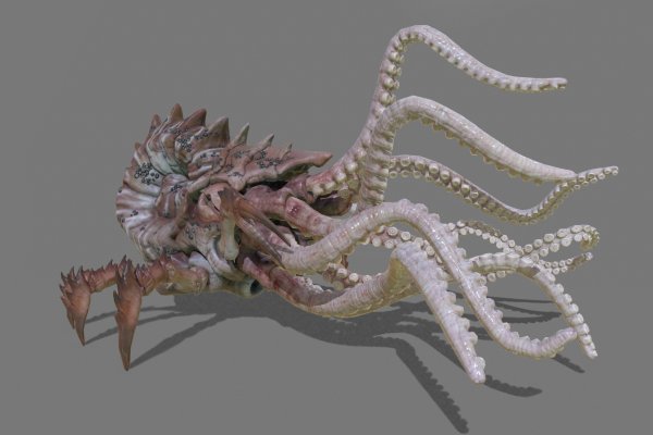 Kraken 12at зеркало