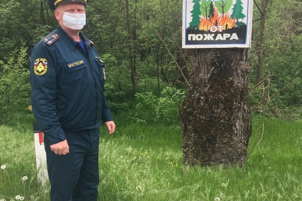 Сайты даркнета