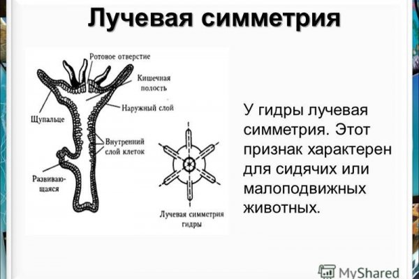 Как зайти на кракен браузеры