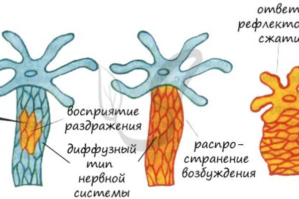 Кракен ссылка прокатис